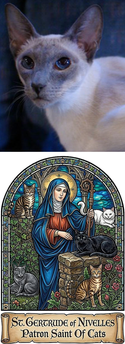 DeeDee3StGertrude